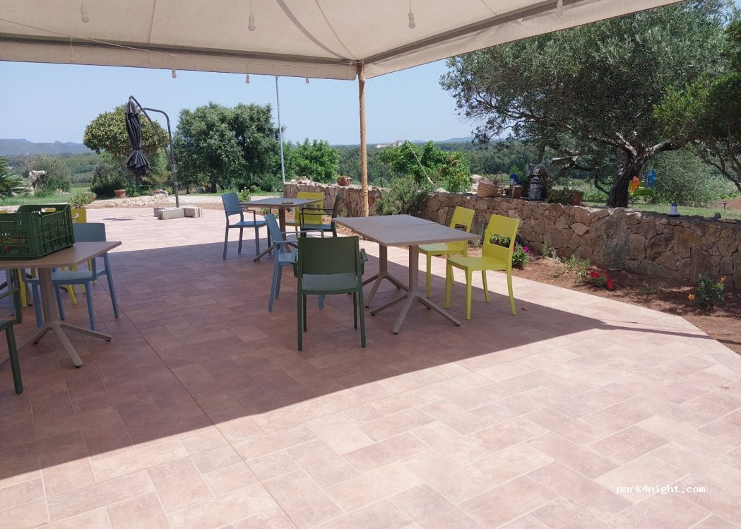 Fattoria La Traccia — foto 3