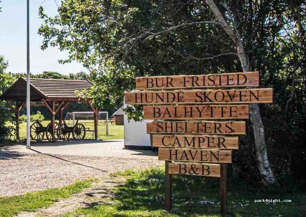 Bur Fristed Hundeskov — foto 3