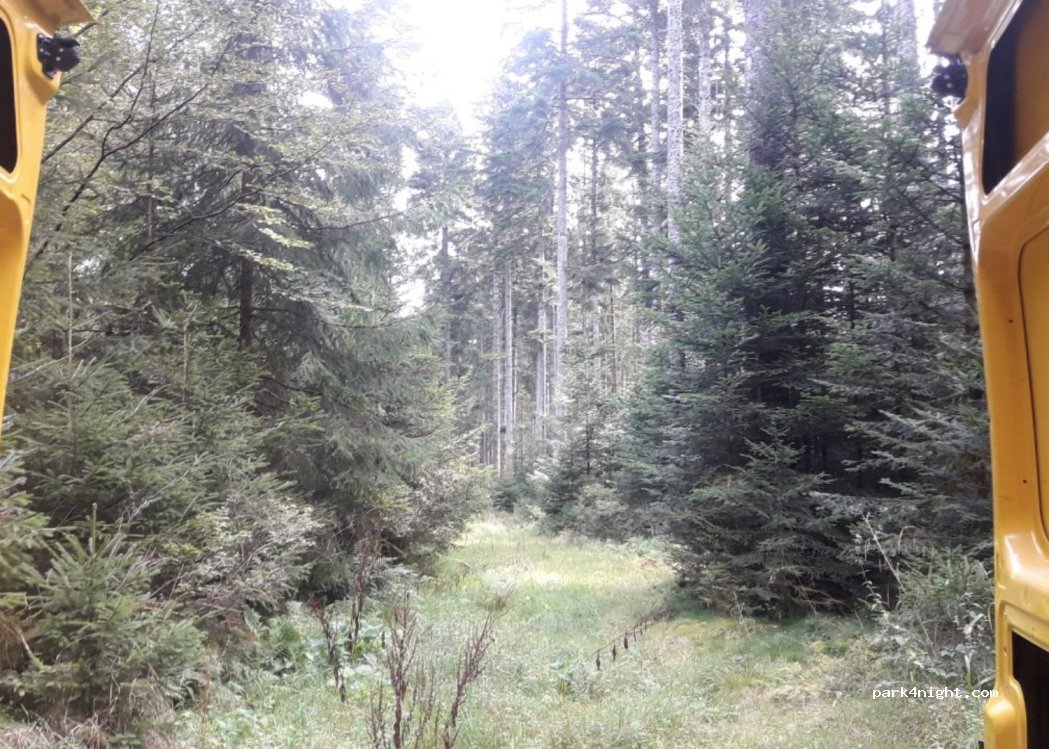 (78737) Fluorn-Winzeln - — foto 4
