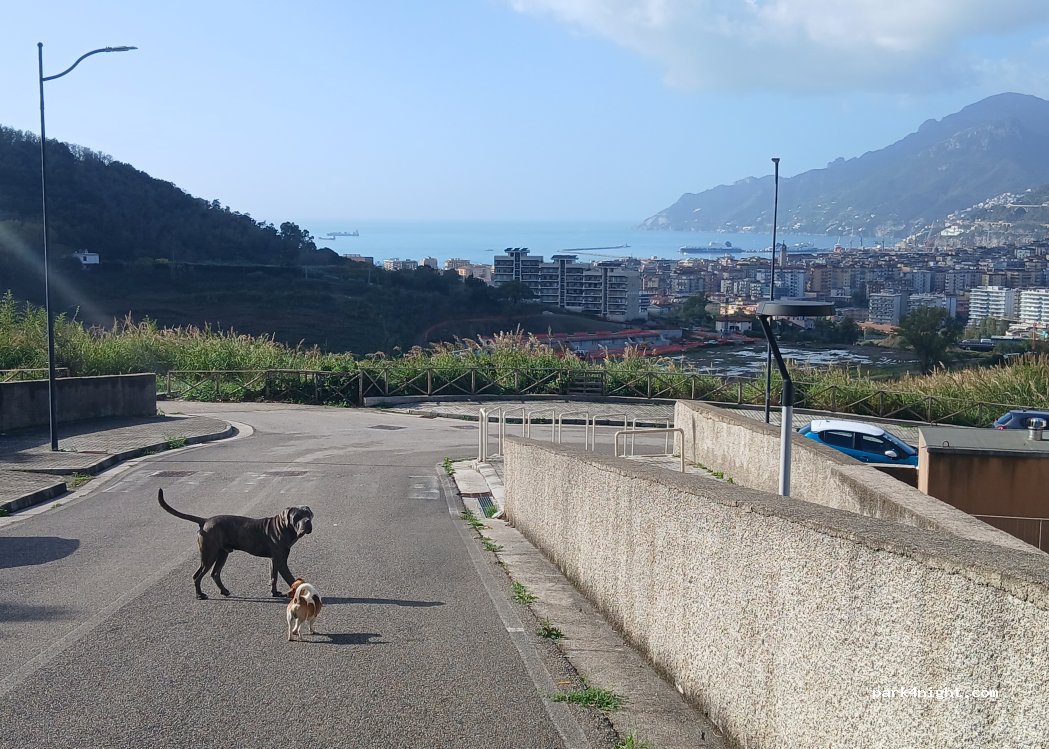 (84135) Salerno - 16 Via Casa dei Pazzi — foto 4
