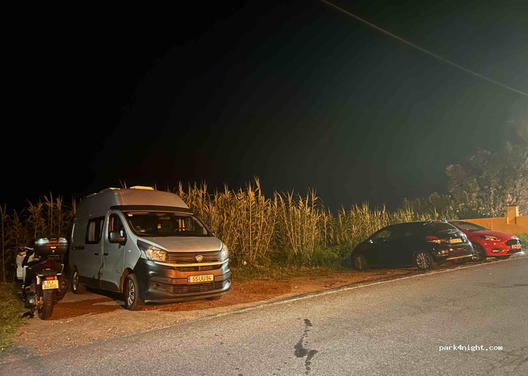 (9240-029) São Vicente - 86 ER101 — foto