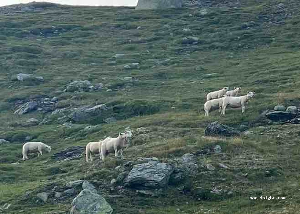 (5745) Aurland - — foto 2