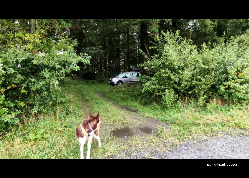 (65100) Bartrès - — foto 2