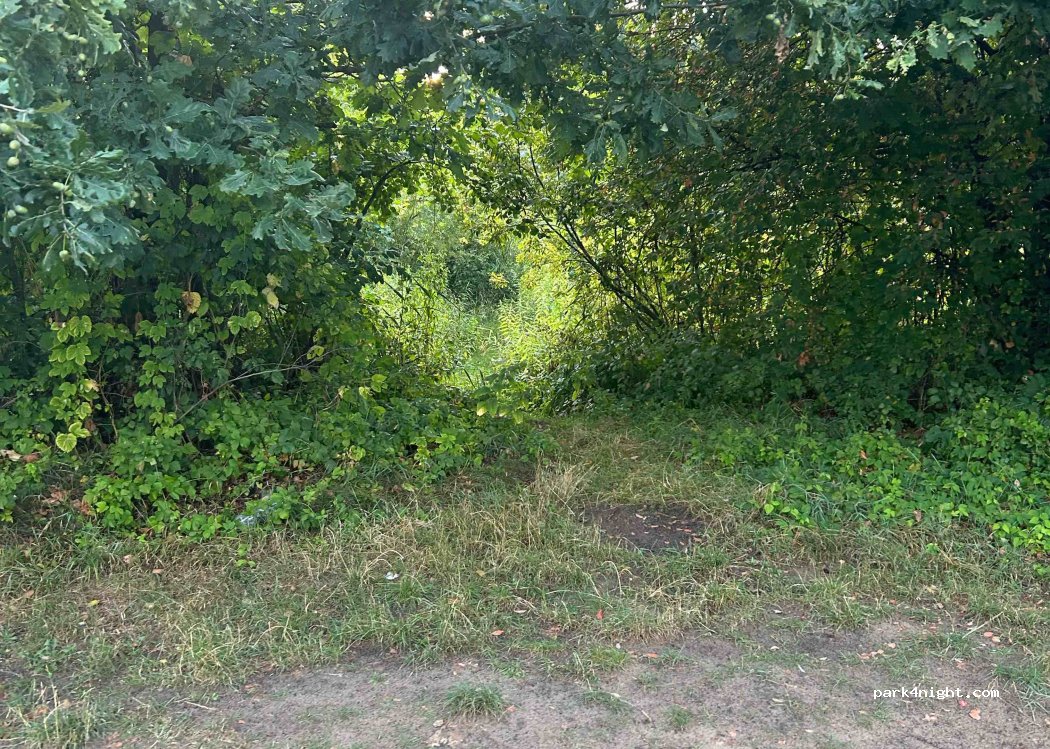 (26-803) Biejków - — foto