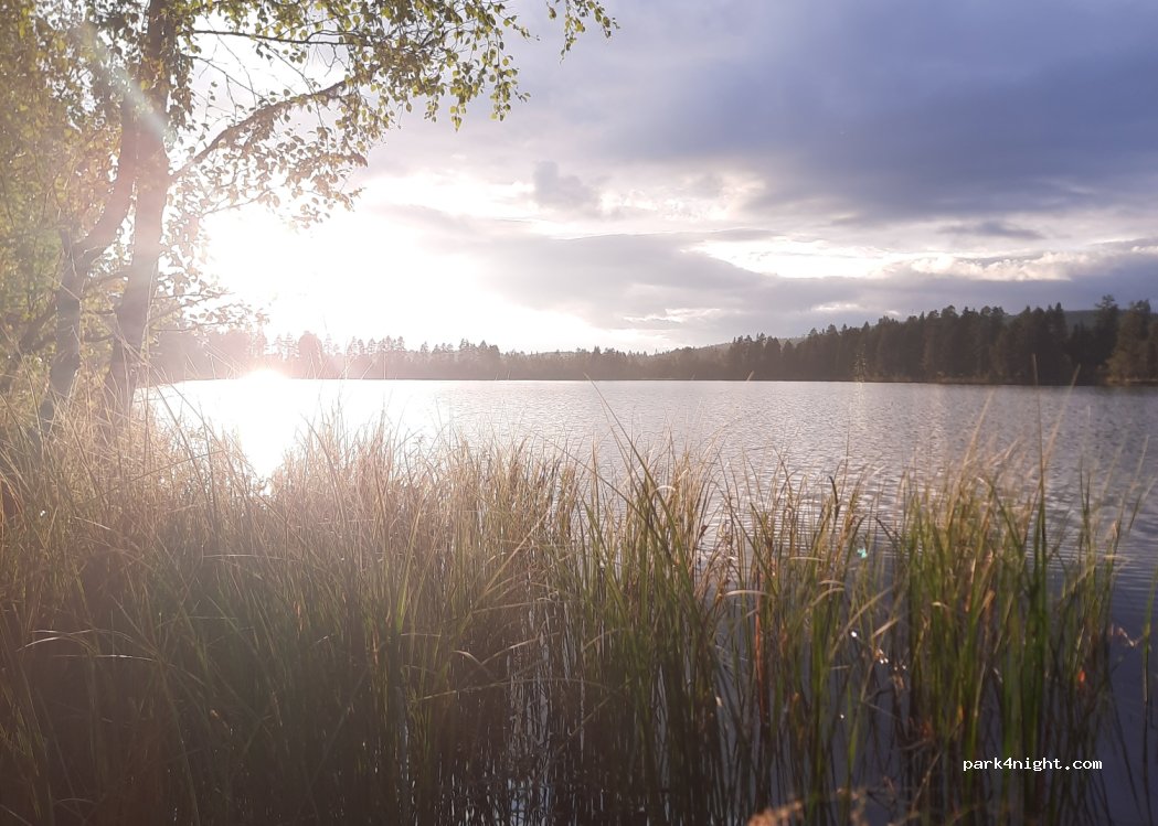 (910 60) Åsele - 6 NALKASTJÄRN — foto 2