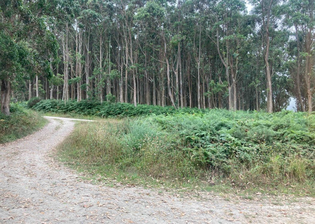 (27877) Vilachá - — foto