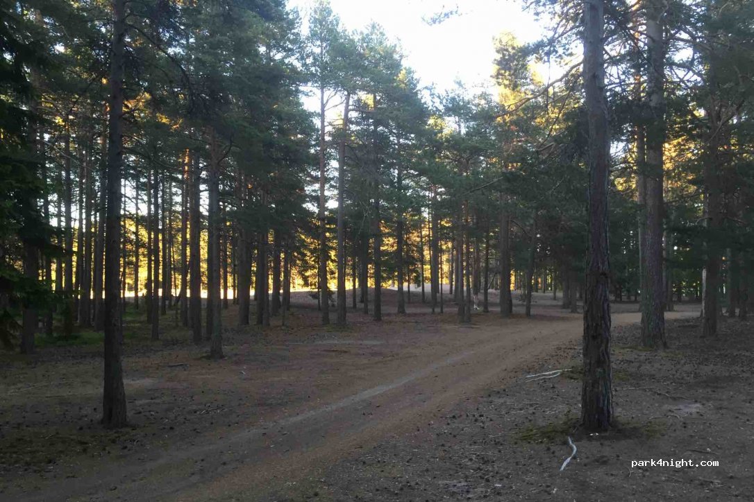(870 31) Mjällom - Unnamed Road — foto