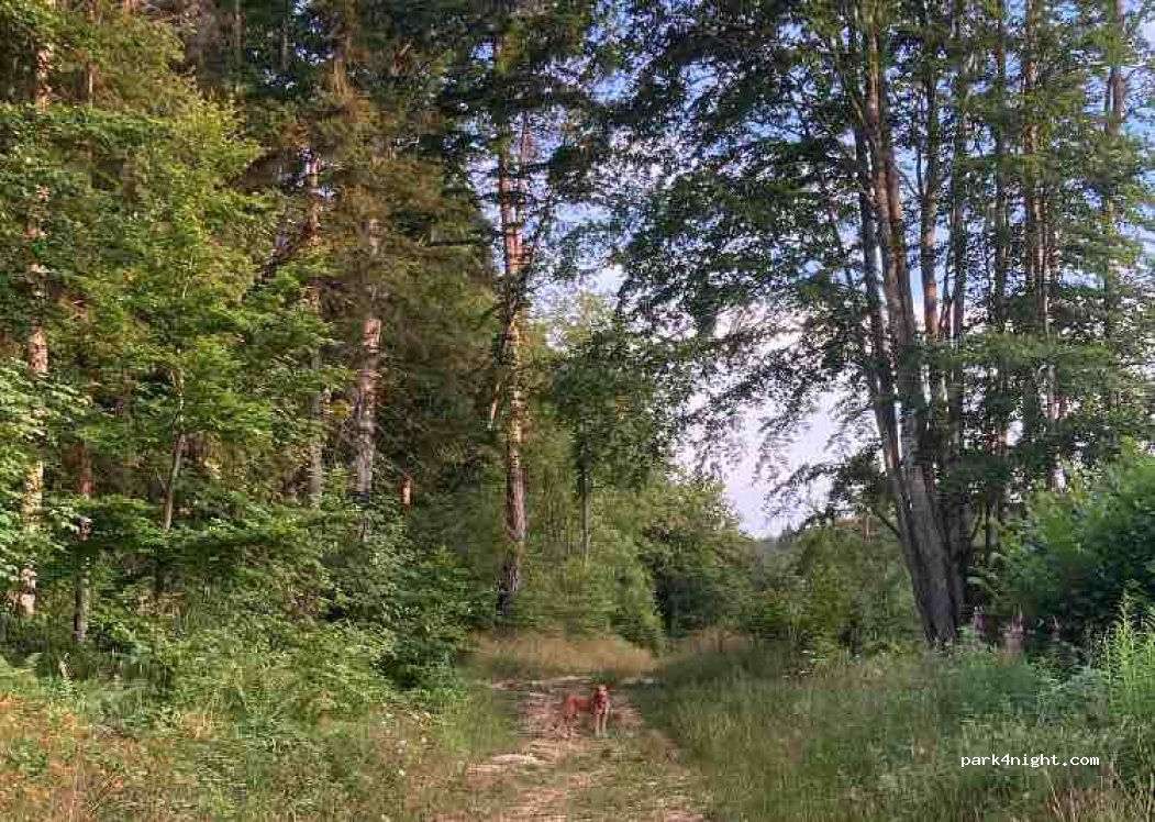 (38470) Malleval-en-Vercors - — foto