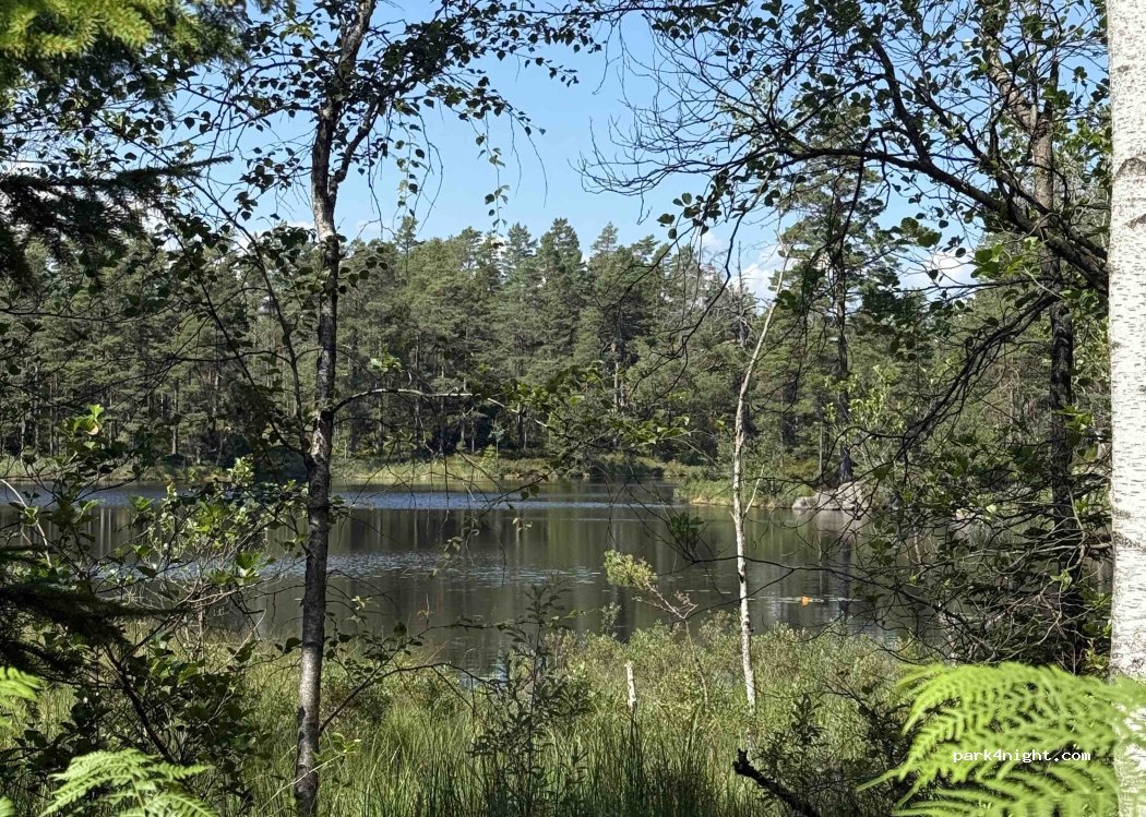 (458 97) Färgelanda - — foto