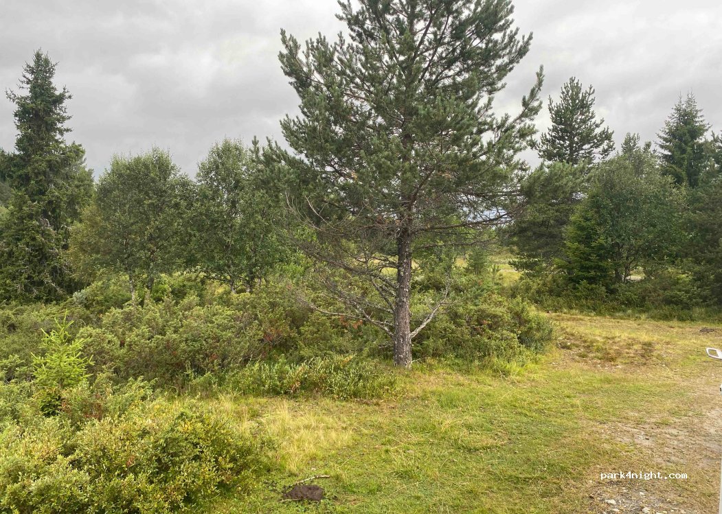 (2923) Sanderstølen - — foto