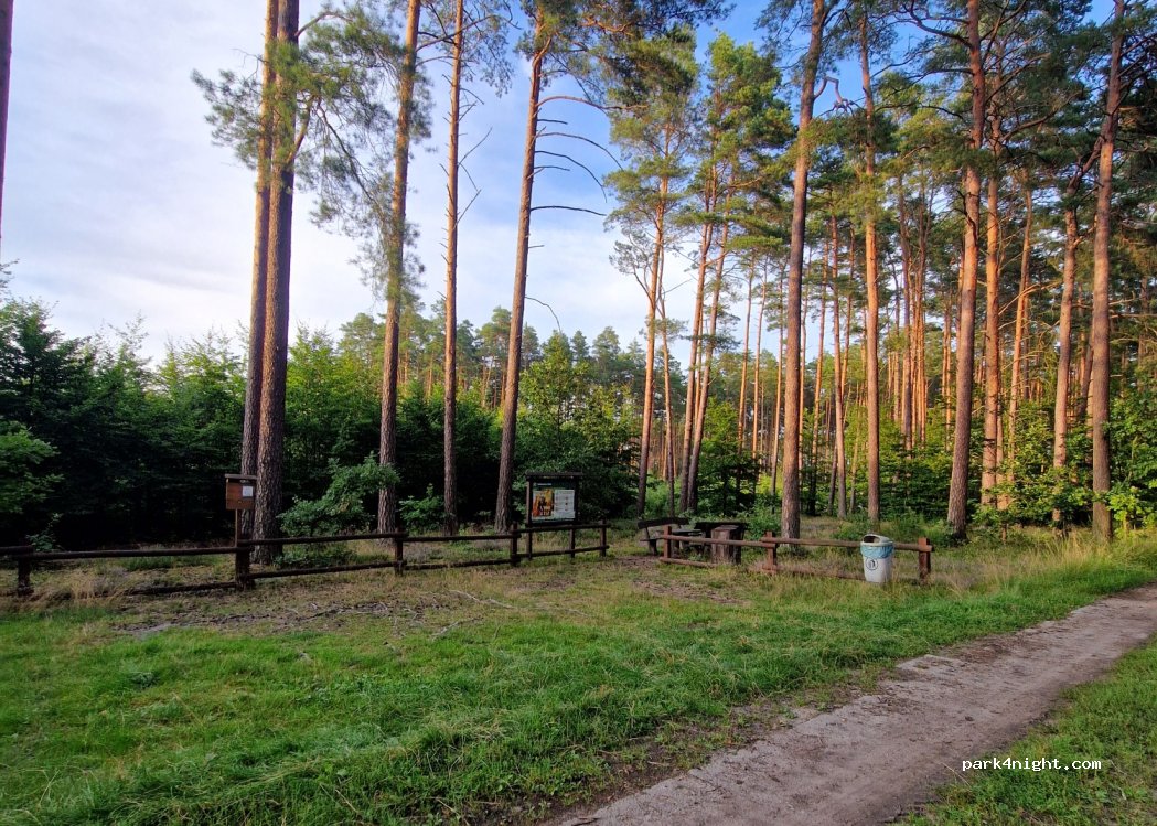 (72) Barnisławice - — foto 2