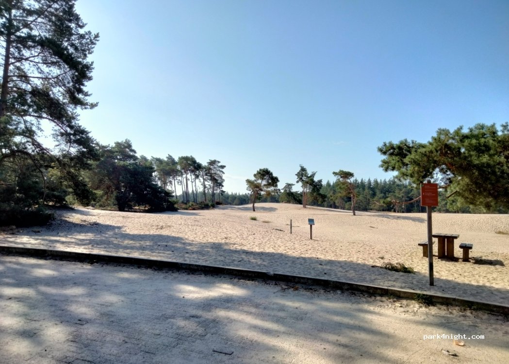 (7731) Ommen - Eerderveldweg — foto 2