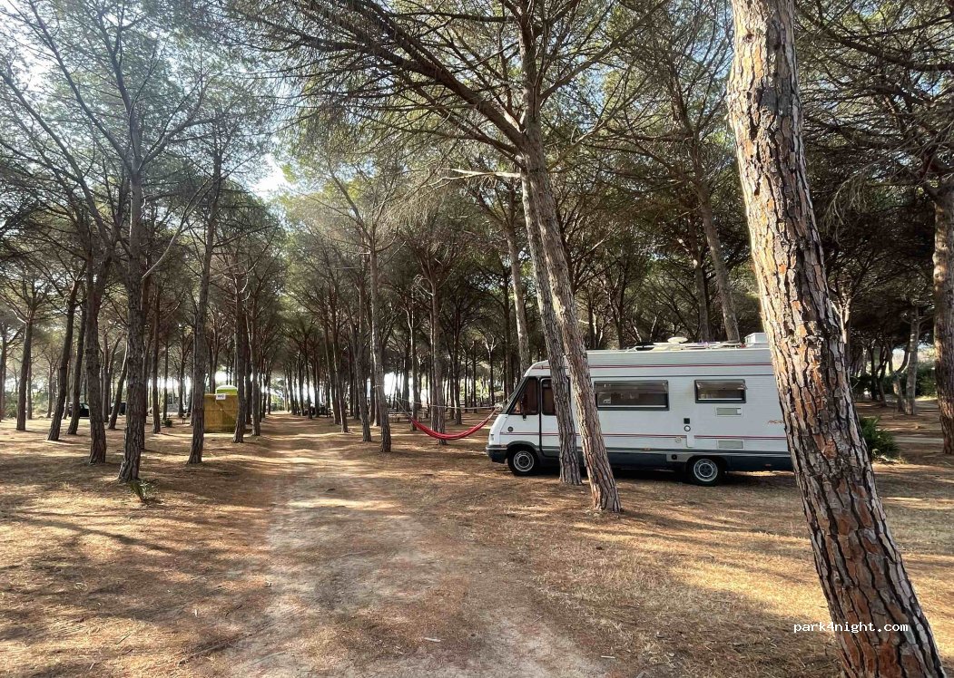 (08028) Cala Liberotto - Viale Lungo Mare — foto 2