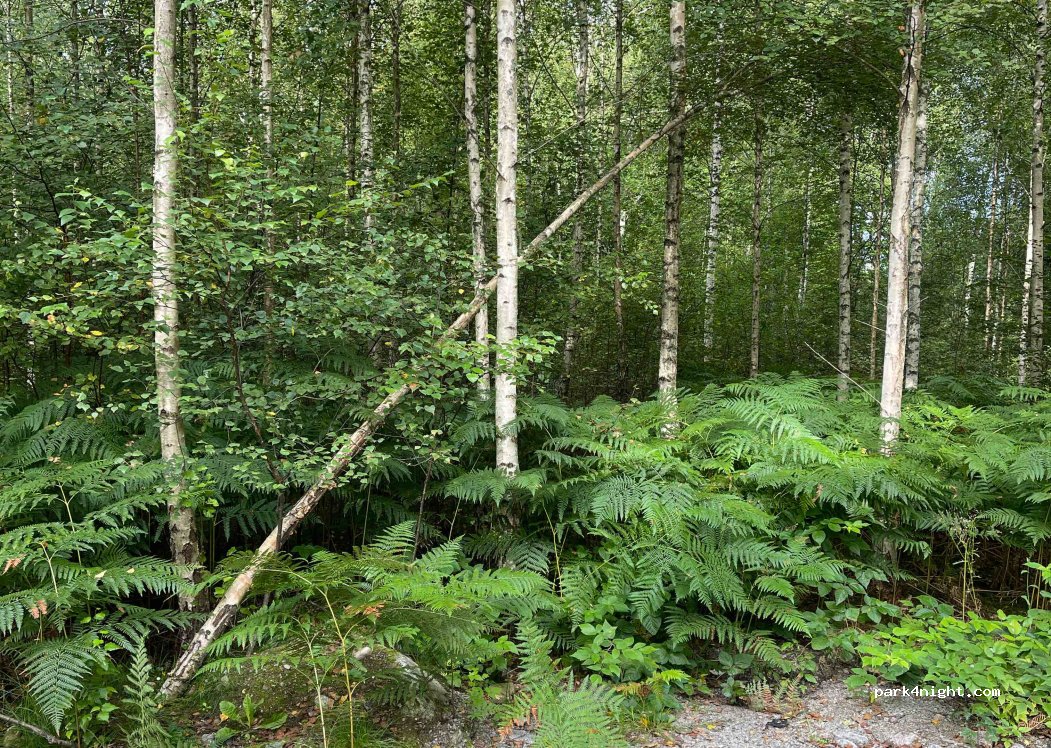 (293 39) Olofström - — foto