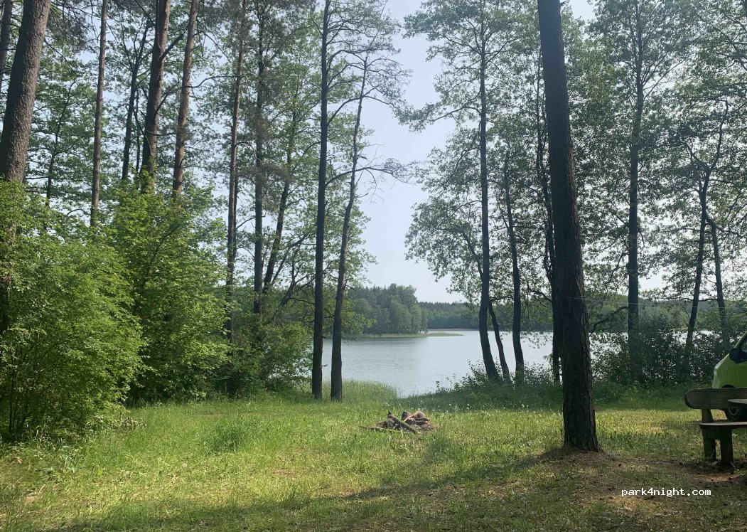 (67256) Gegutė - Unnamed Road — foto 4