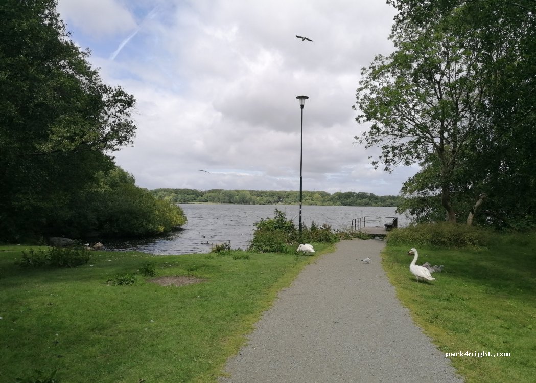 Stavanger Camping Mosvangen — foto 4