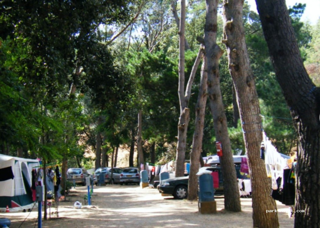 Càmping Tamariu — foto