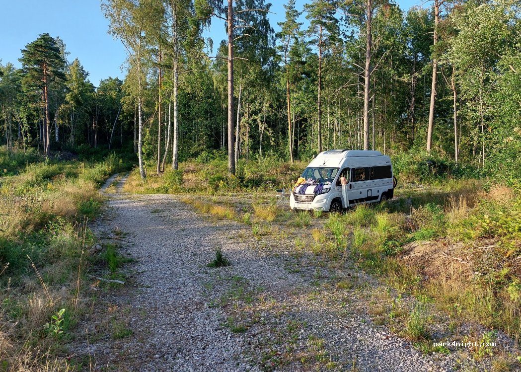 (662 97) Ånimskog - Unnamed Road — foto