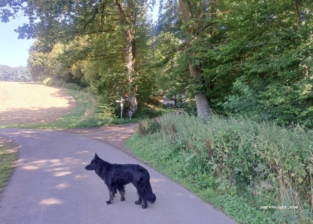 (54531) Eckfeld - Unnamed Road — foto 3
