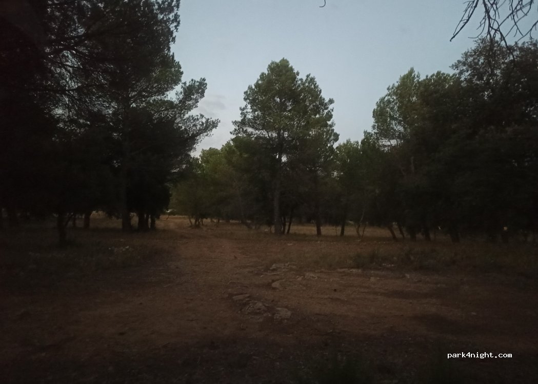 (08738) Campdàsens - — foto 2