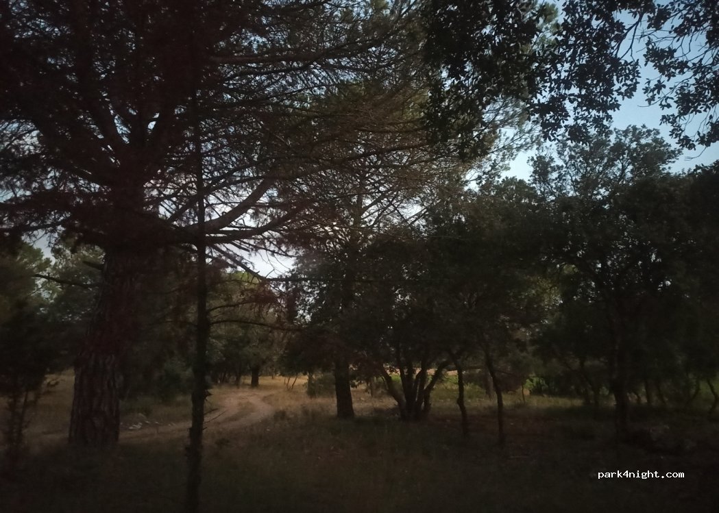 (08738) Campdàsens - — foto 3