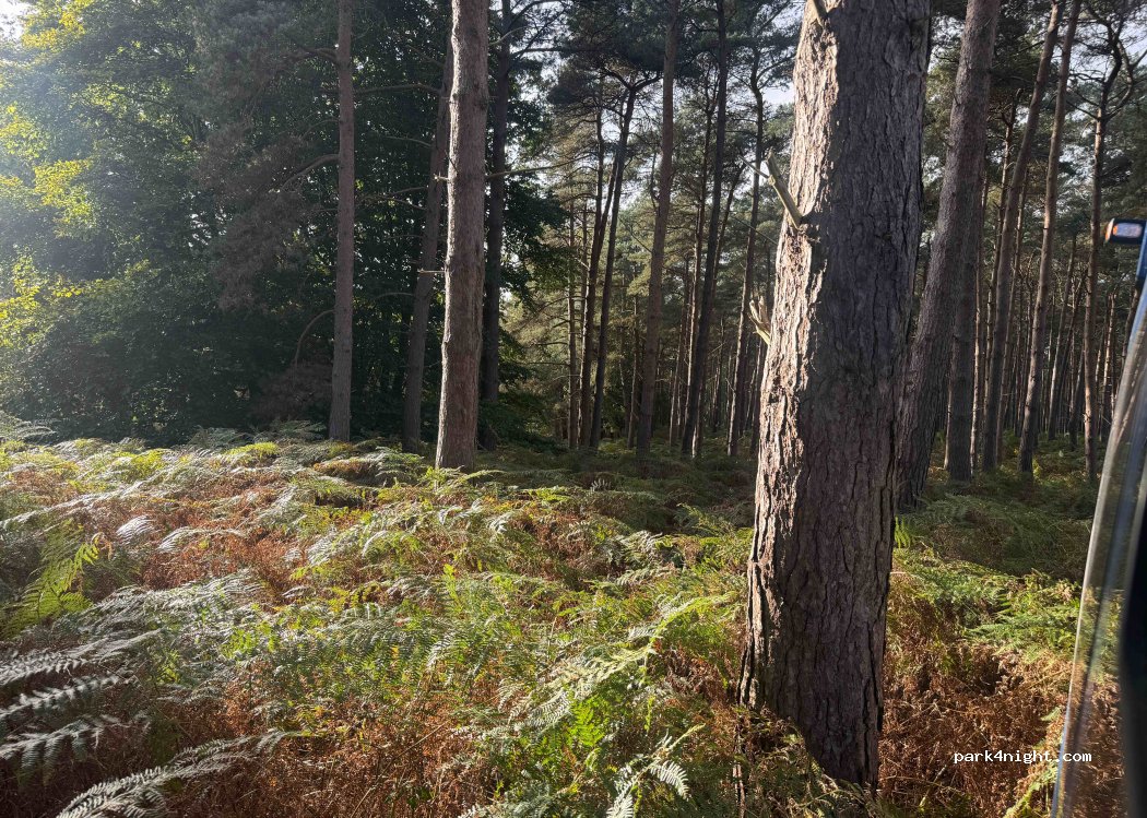 (IP12 2EJ) Tunstall - — foto