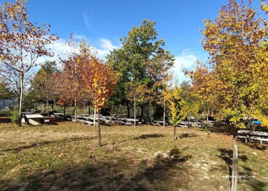 (36415) Pedrapinta - Unnamed Road — foto