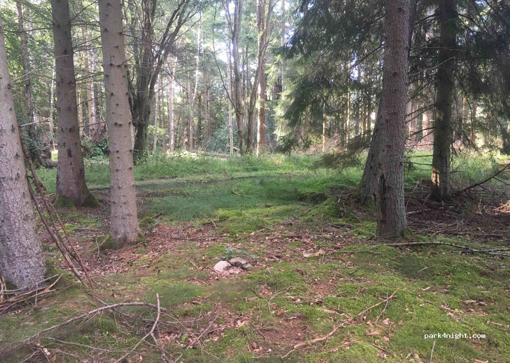 (AB34 5BT) Deeside - — foto