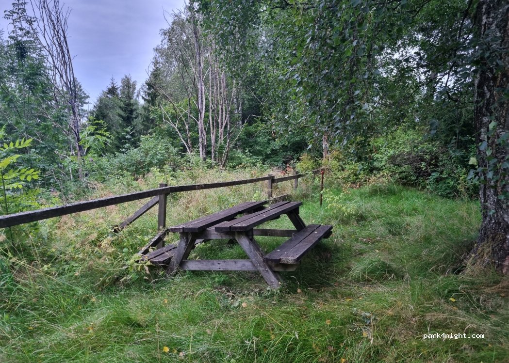 (463 75) Hjärtum - — foto 2