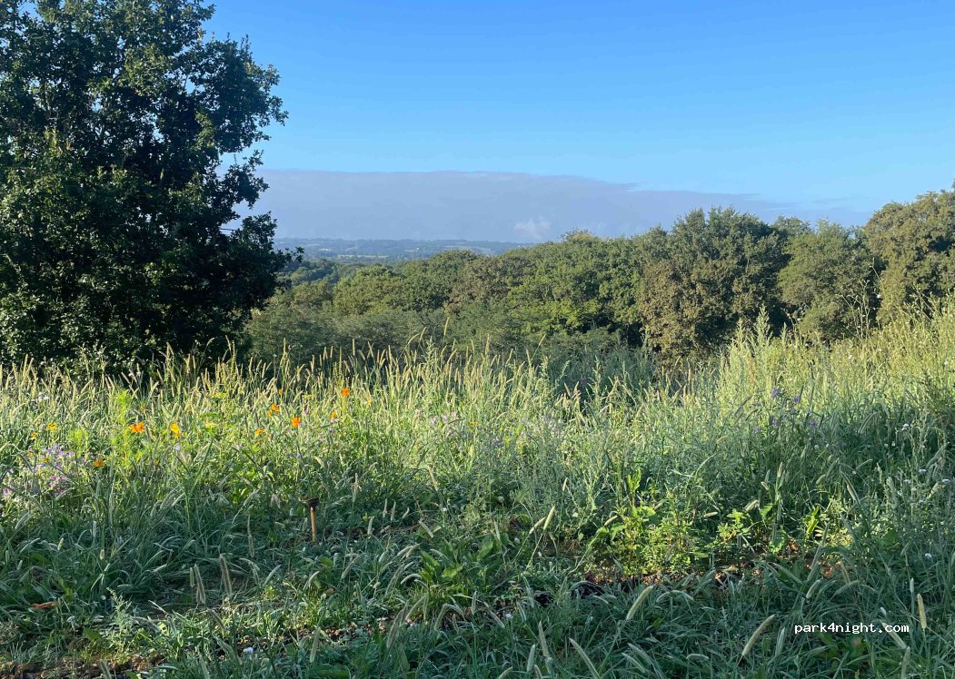 (64370) Morlanne - 452 Bialé Sud — foto