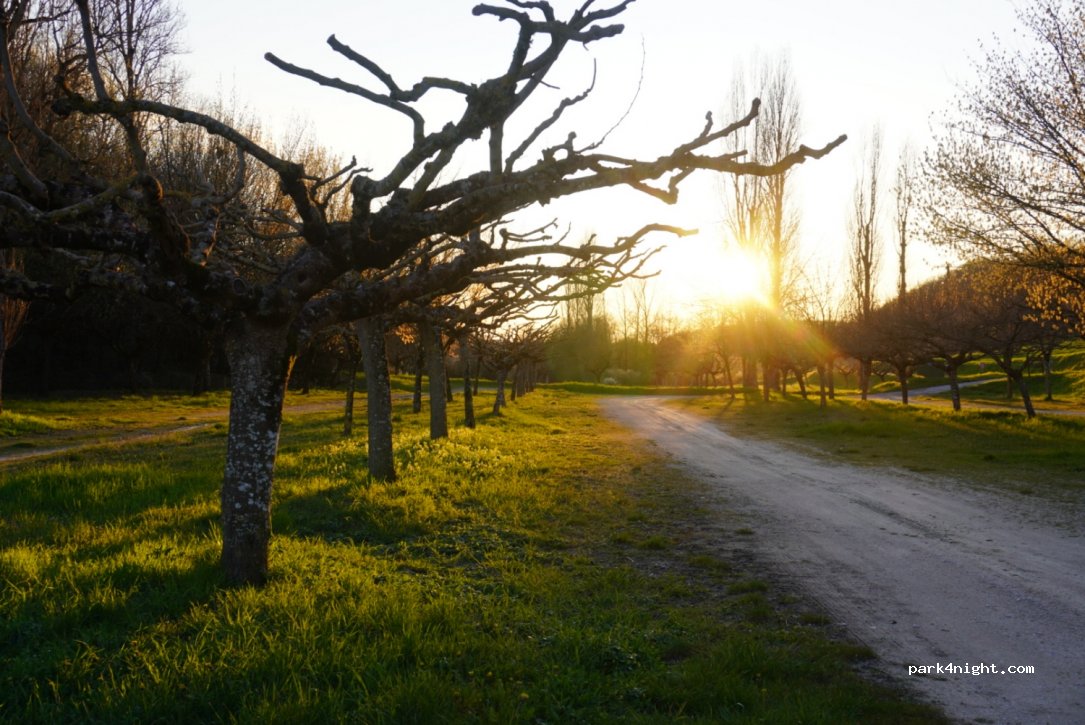 (82150) Montaigu-de-Quercy - D2 — foto
