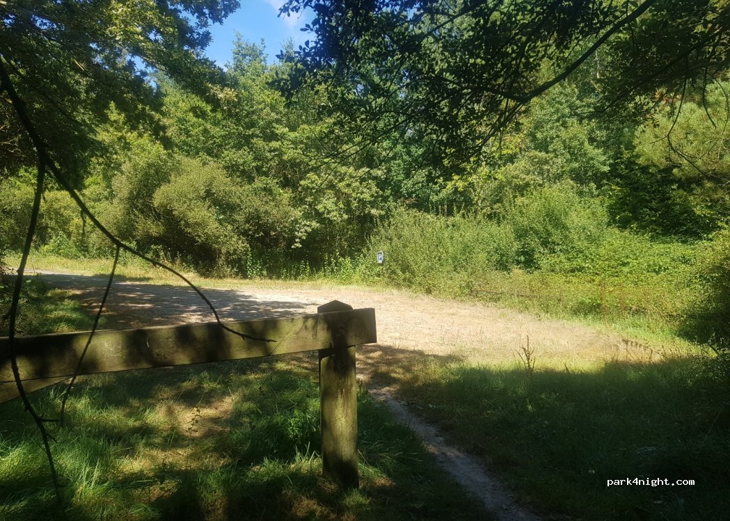 (85250) Saint-Fulgent - — foto