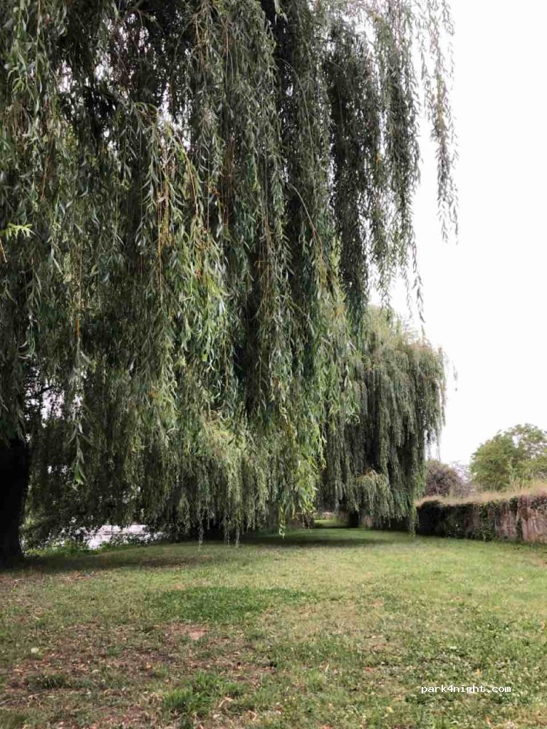 (36800) Saint-Gaultier - D927 — foto 2