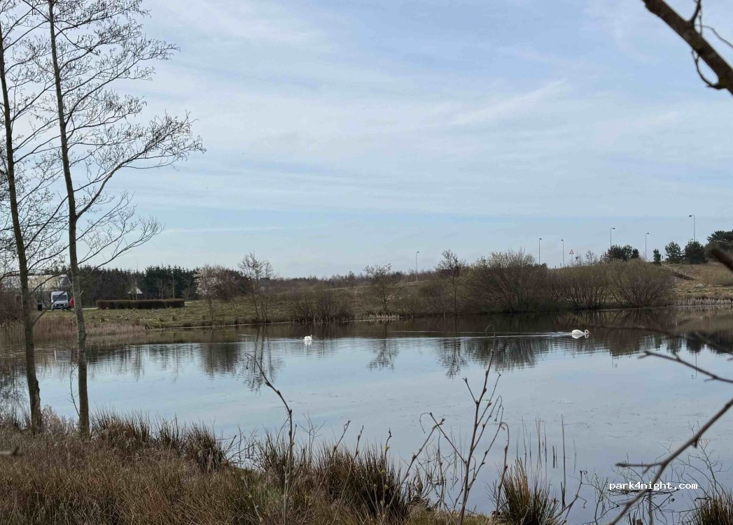 (9382) Tylstrup - Grusstien — foto 5