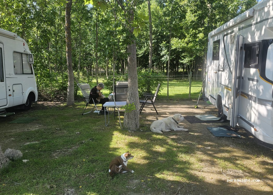 Camping Bacinska Jezera — foto 5