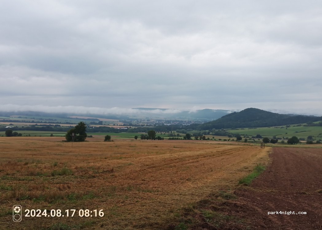 (37586) Dassel - — foto 2
