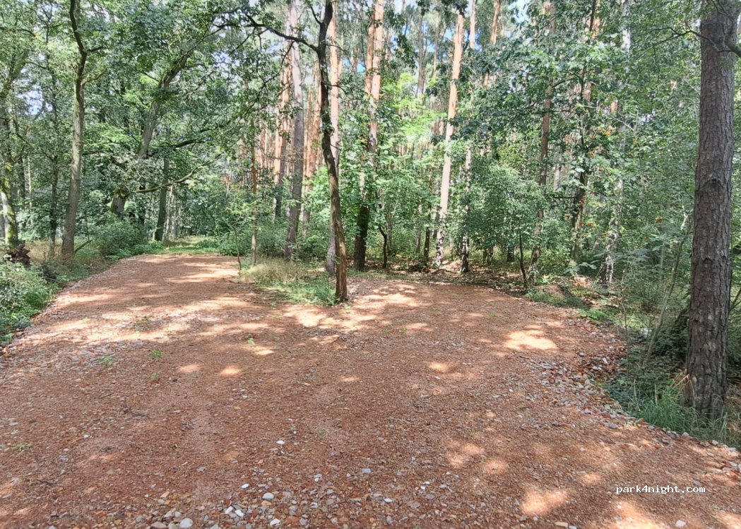 (16818) Walsleben - 5 Kiefernweg — foto