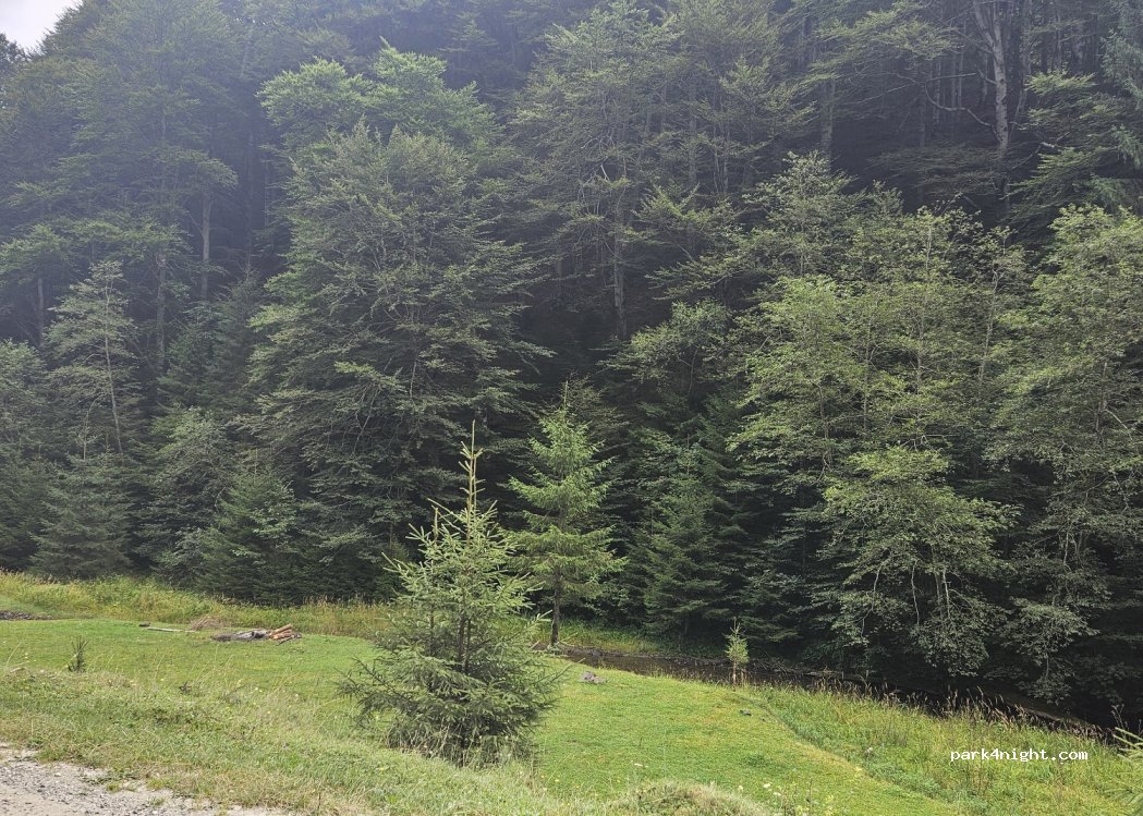 (117631) Sătic - — foto