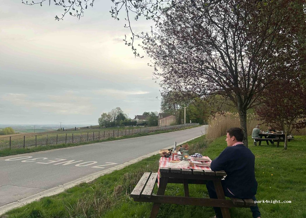 (51160) Mutigny - Route de Montflambert — foto 5