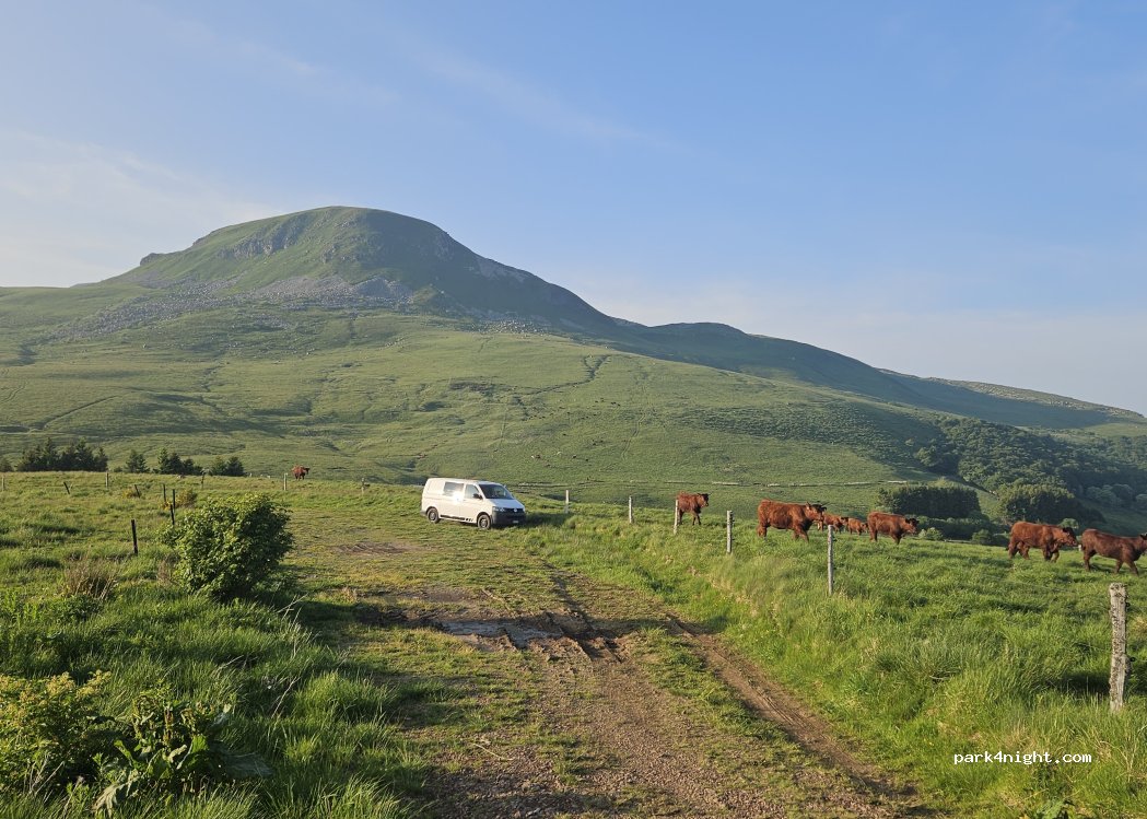 (63113) Picherande - — foto 4