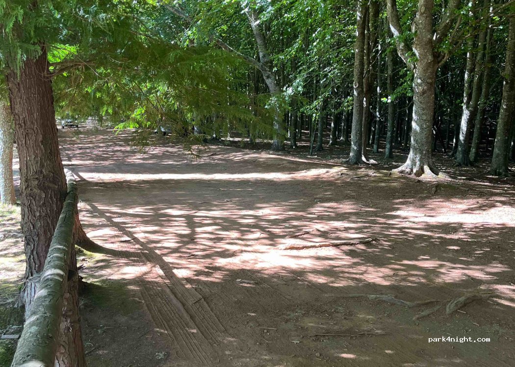 Santo António da Serra - ER202 — foto