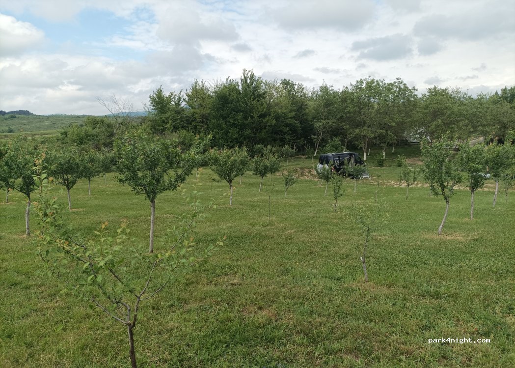 Biofinca — foto
