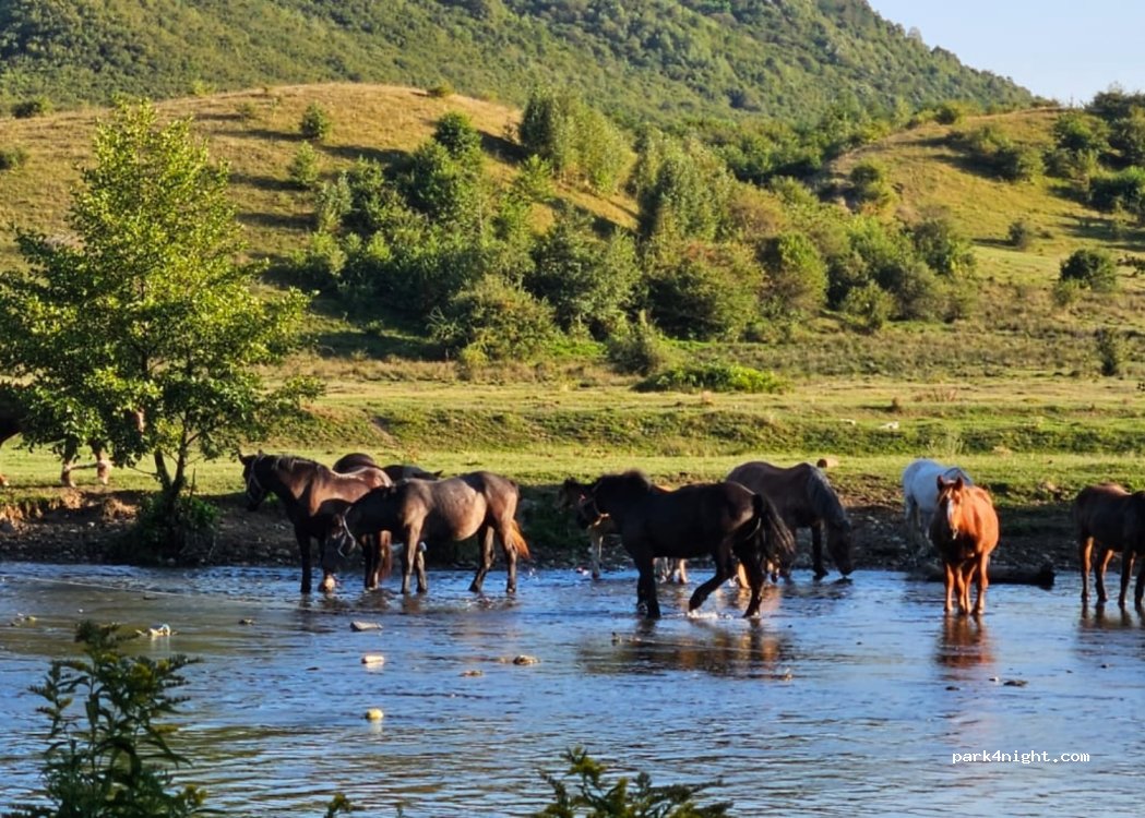 (555700) Tălmaciu - — foto