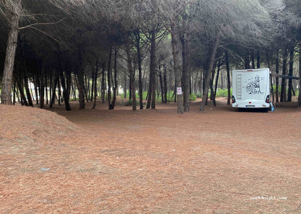 (2510) Spille - Unnamed Road — foto