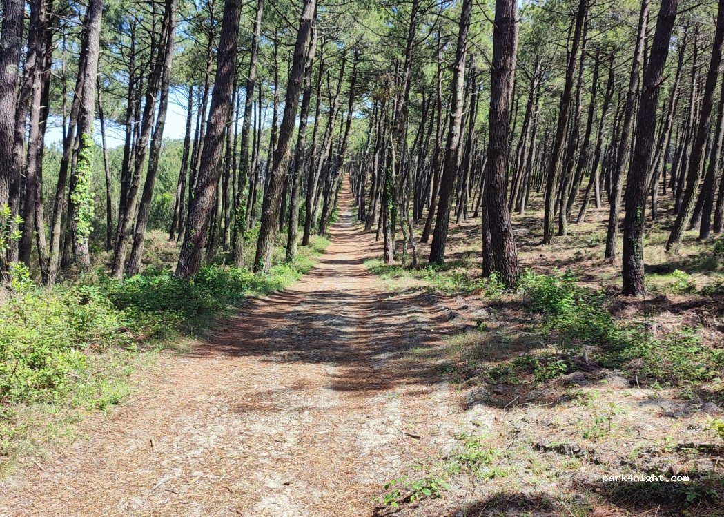 Camping Le Saint Martin — foto 2