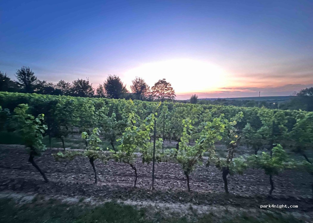 Weingut Ochs — foto 4