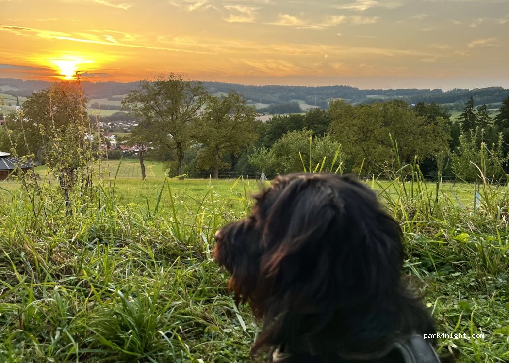 Niederbayernalm — foto