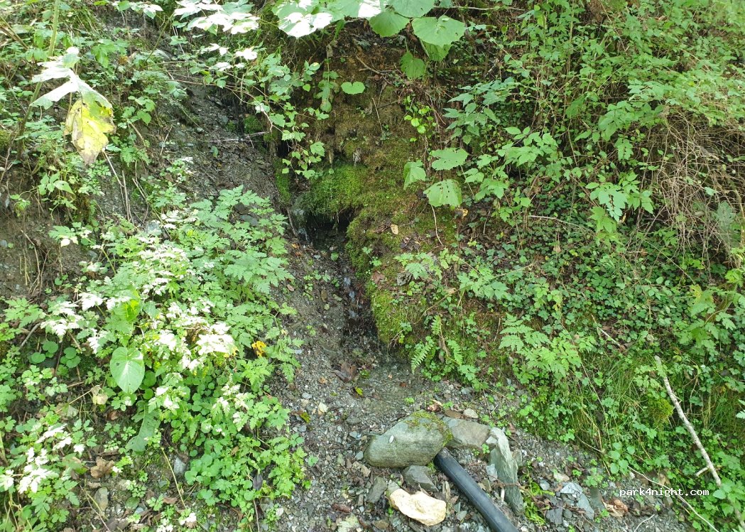 (117631) Sătic - 96 DC21 — foto 3