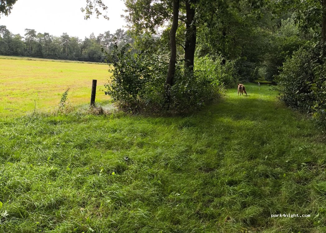 (7547) Enschede - — foto 3