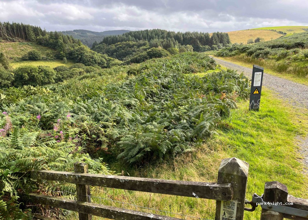 (SA20 0YT) Llandovery - Unnamed Road — foto